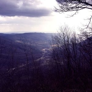 Meet your Posher, Allyn